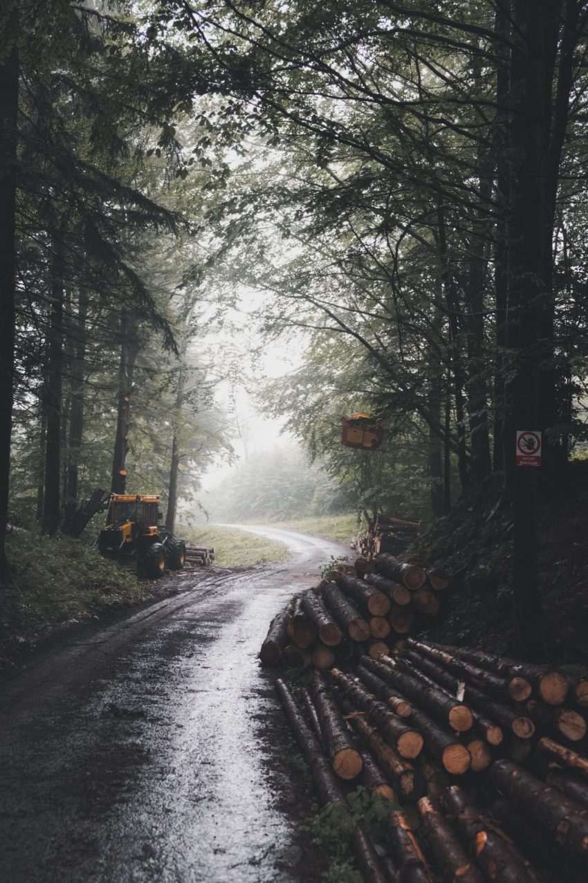Marek szturc Tg II2q5 E6 KQ unsplash